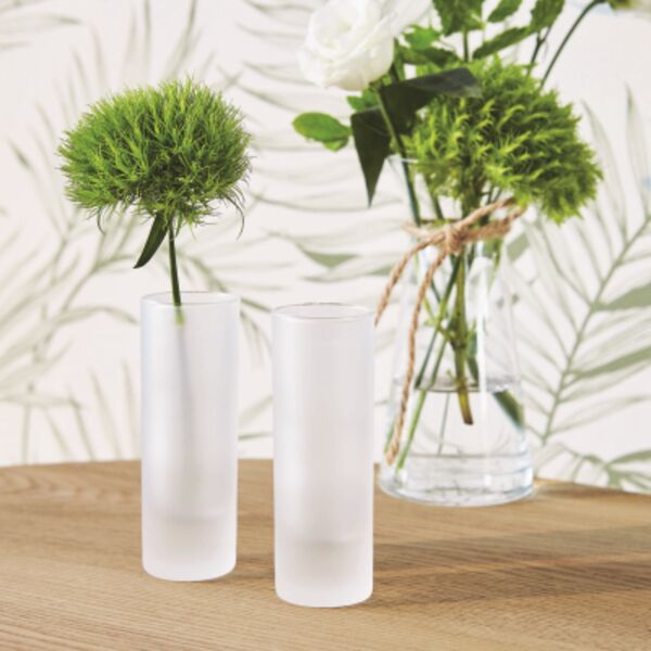 Islande Frosted 2oz Shot Glass Thumbnail