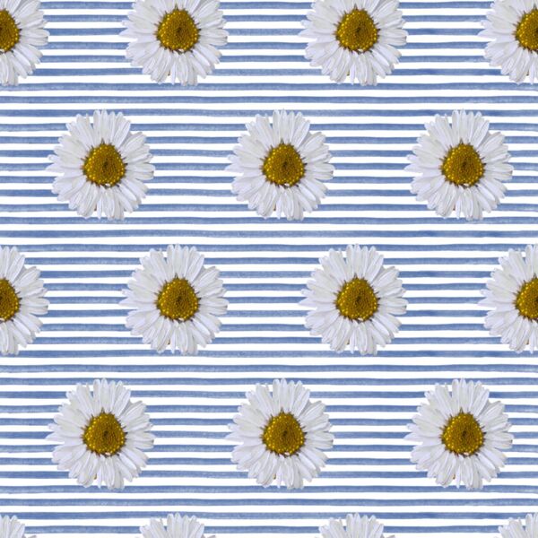 Daisy Stripe On White Thumbnail
