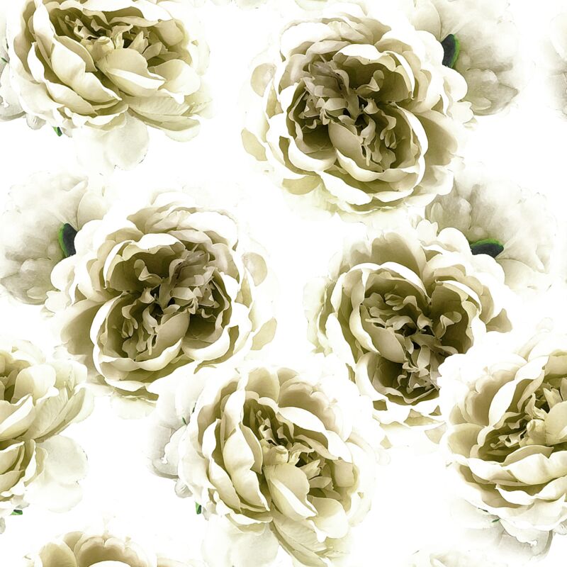 Delicate Flower On Cream Thumbnail